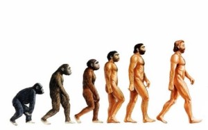 Evolution of man